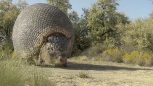 prehistoric-planet-ice-age-PrehistoricPlanetIceAge_302_F00105F_rgb-300x169 Gallery: Prehistoric Planet: Ice Age